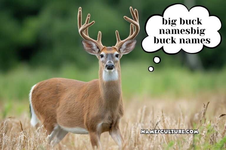 big buck names