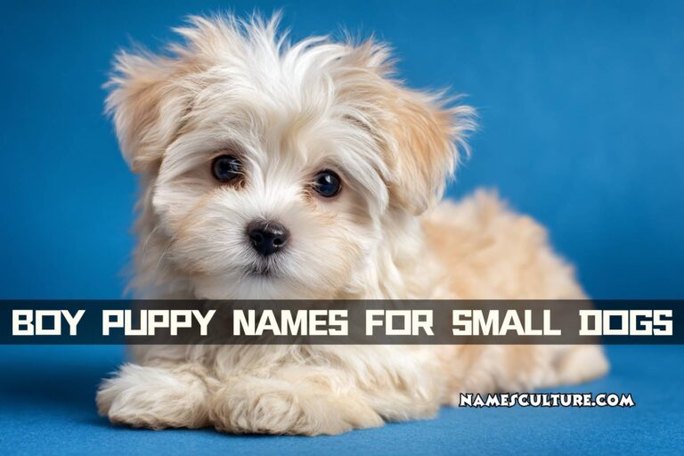 boy puppy names for small dogs