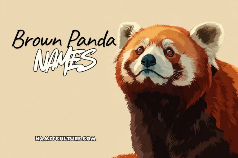 brown panda names