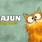 cajun cat names