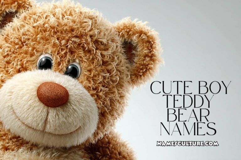 cute boy teddy bear names