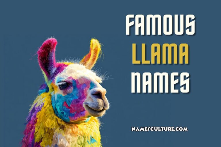 famous llama names