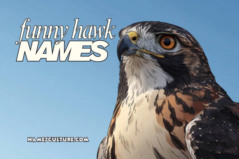funny hawk names