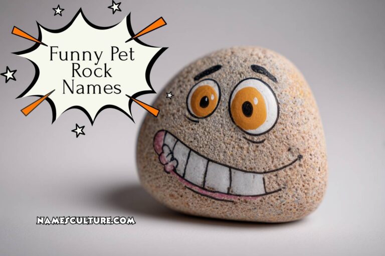 funny pet rock names